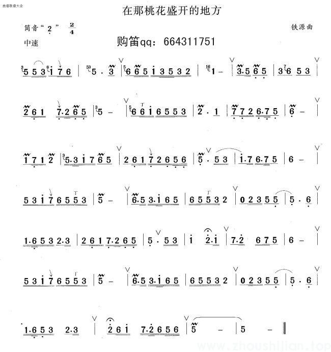 民乐简谱-1(图9)